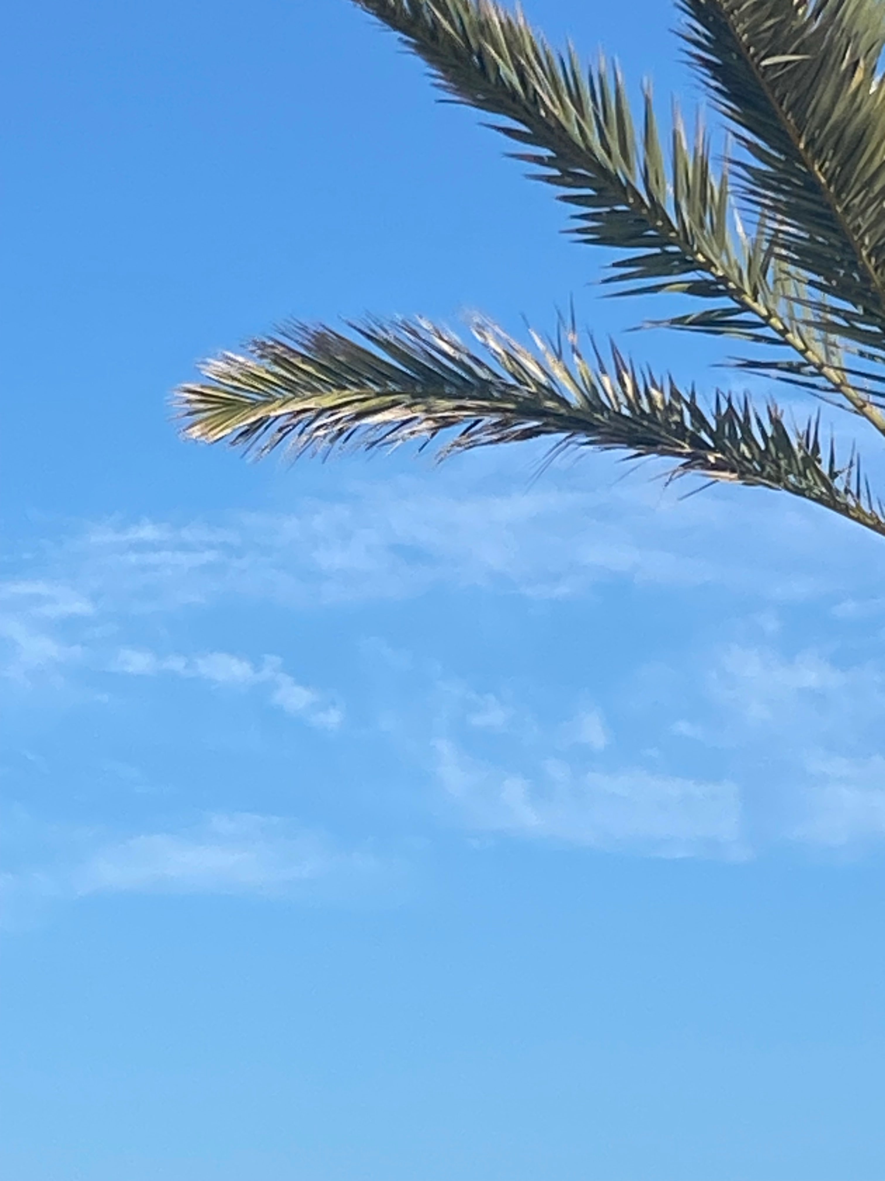 Brain Empty, send coffee or Match and maybe..A blog Post Tomorrow